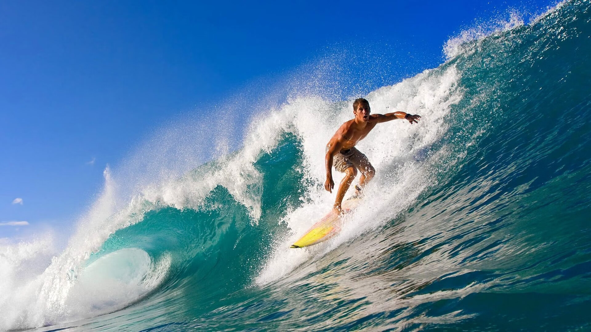 小牛调整战术，比赛表现令人惊叹，小牛参数调整